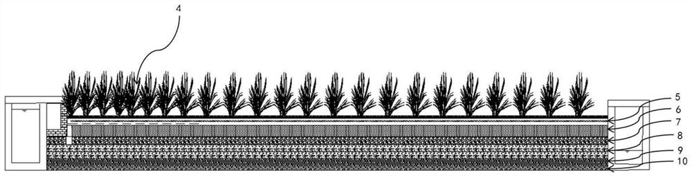 Mixed purification system and purification method for efficient denitrification of tail water of sewage plant