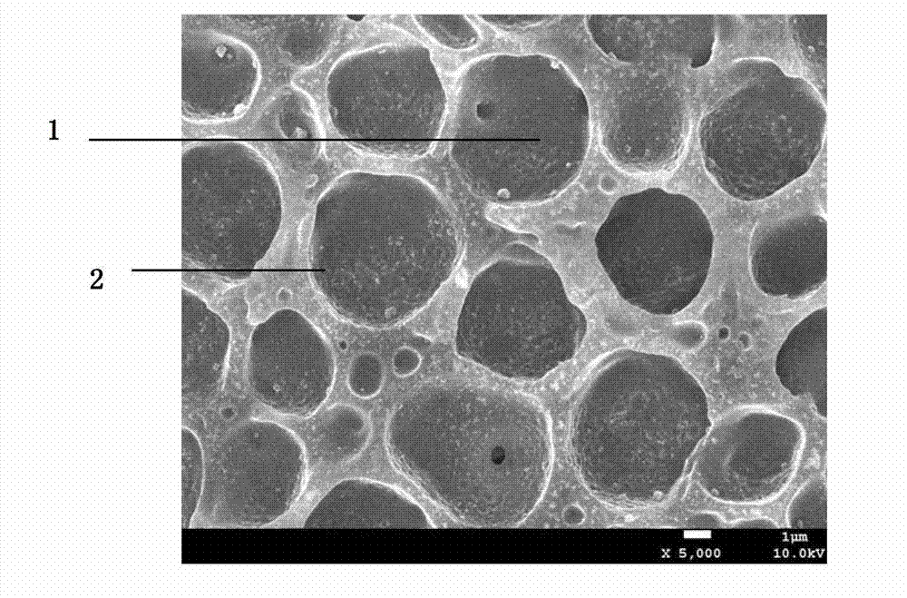 Polymer dispersed liquid crystal film and preparation method thereof