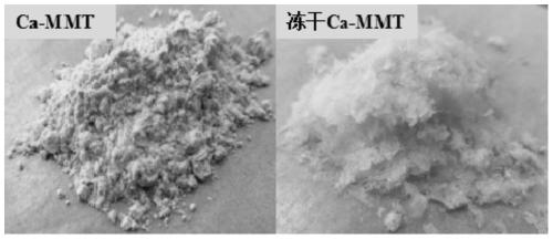Method for enhancing surface property of montmorillonite by freeze-drying technology
