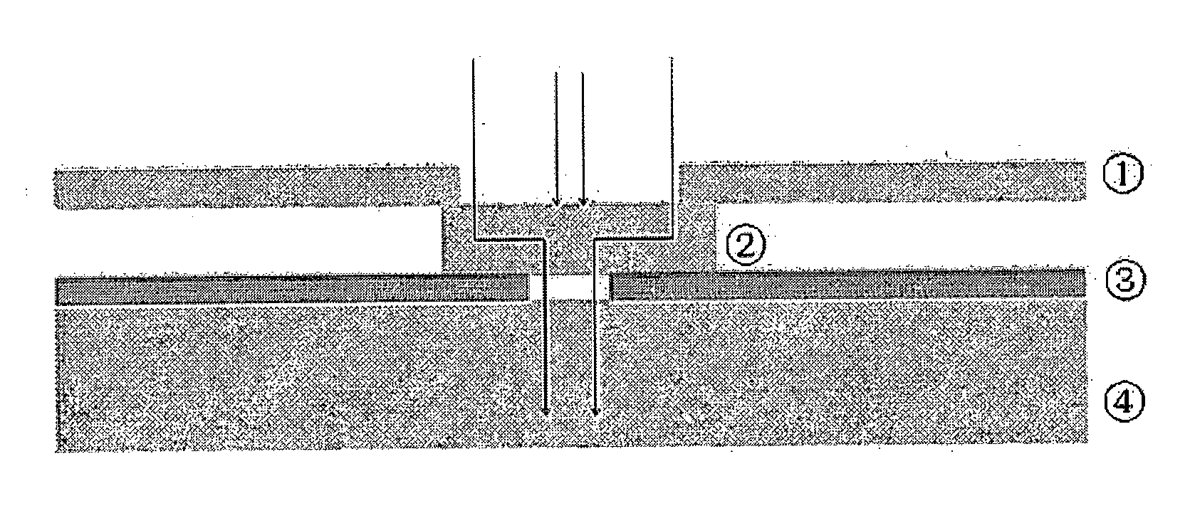 Kit for dot immunogold directed filtration assay and use thereof