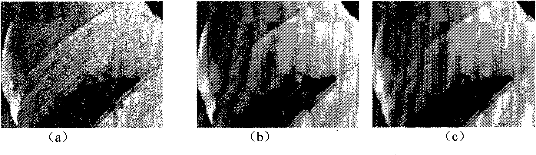Image denoising method based on non-local means and multi-level directional images