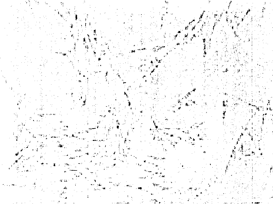 Method of preparing cell for transplantation