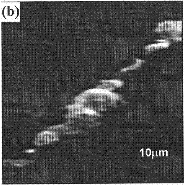 Micron-nano thermal detecting and sensing component