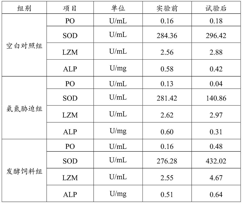 Traditional Chinese medicine fermented feed for improving intestinal immunity of aquaculture animals and preparation method of traditional Chinese medicine fermented feed