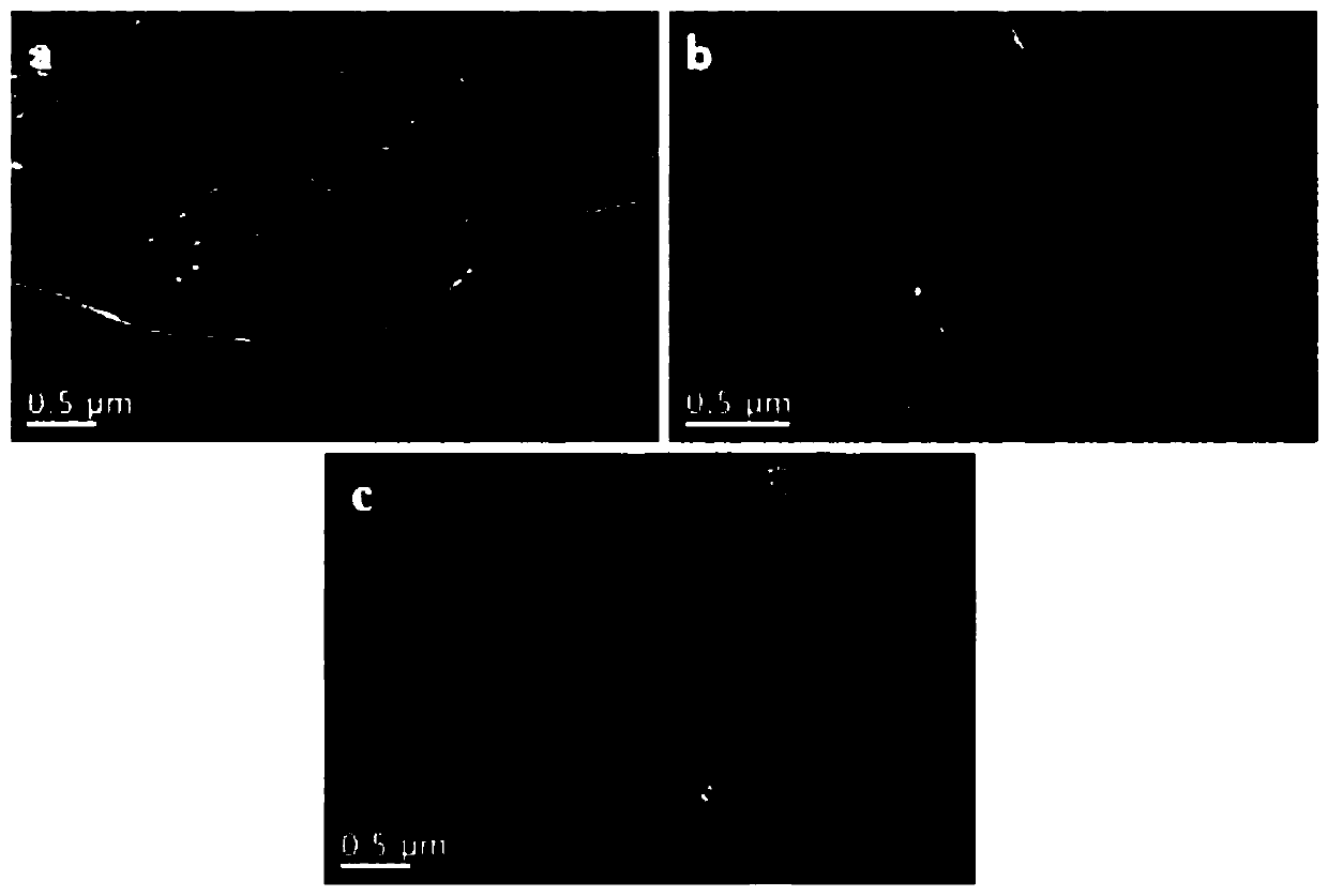 Star-shaped cationic graphene dispersing agent and applications thereof