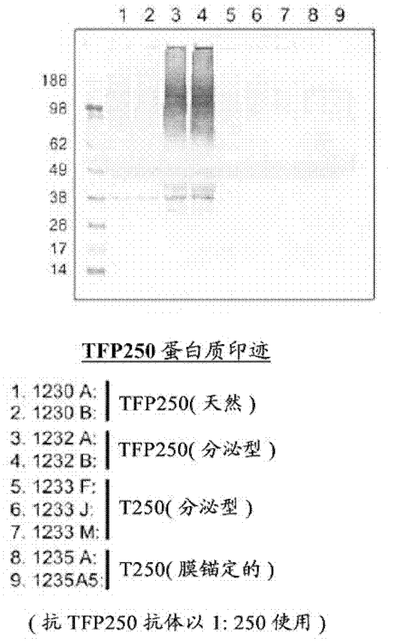 Methods and compositions for use of a coccidiosis vaccine