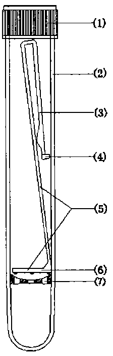 Blood cell separation tube and separation method of mononuclear cell