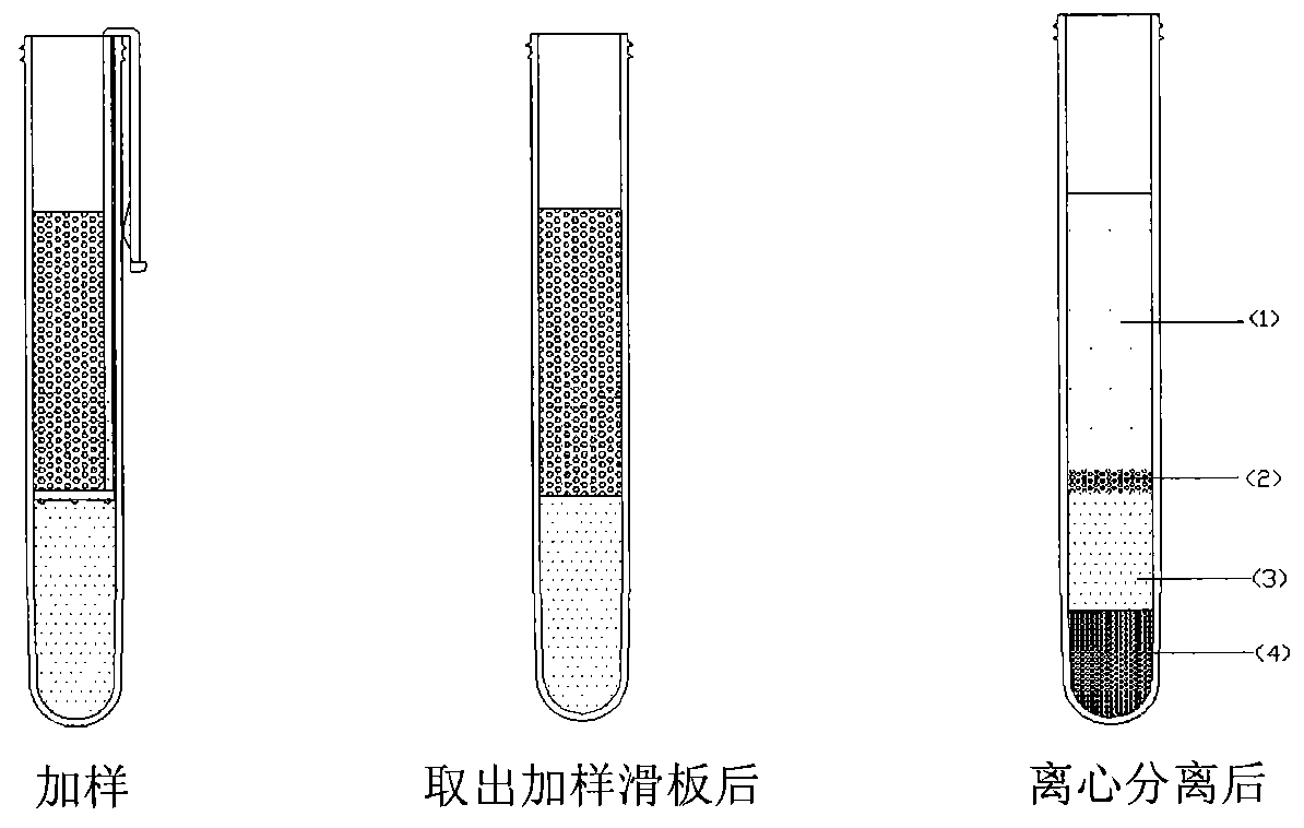 Blood cell separation tube and separation method of mononuclear cell