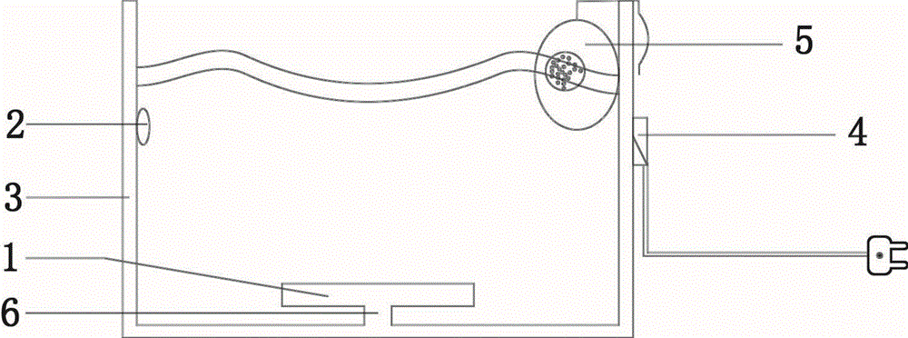 Turbulent flow termite trap