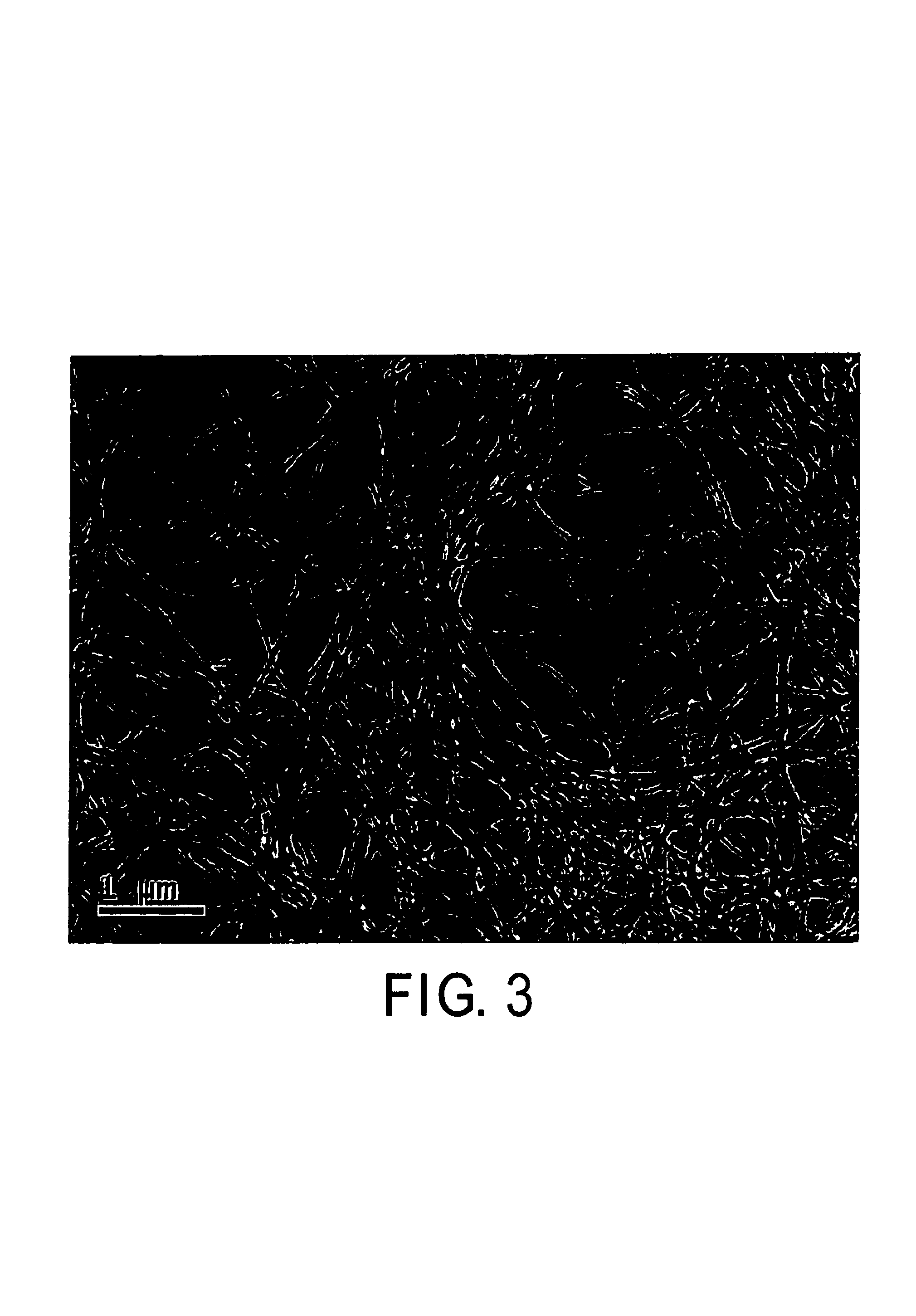 Coated electrode with enhanced electron emission and ignition characteristics