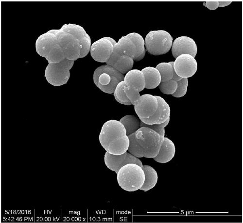 Spherical co3v2o8 and its preparation method