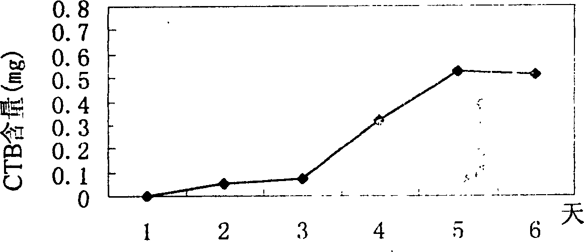 Preparation method of cholera toxin B sub unit