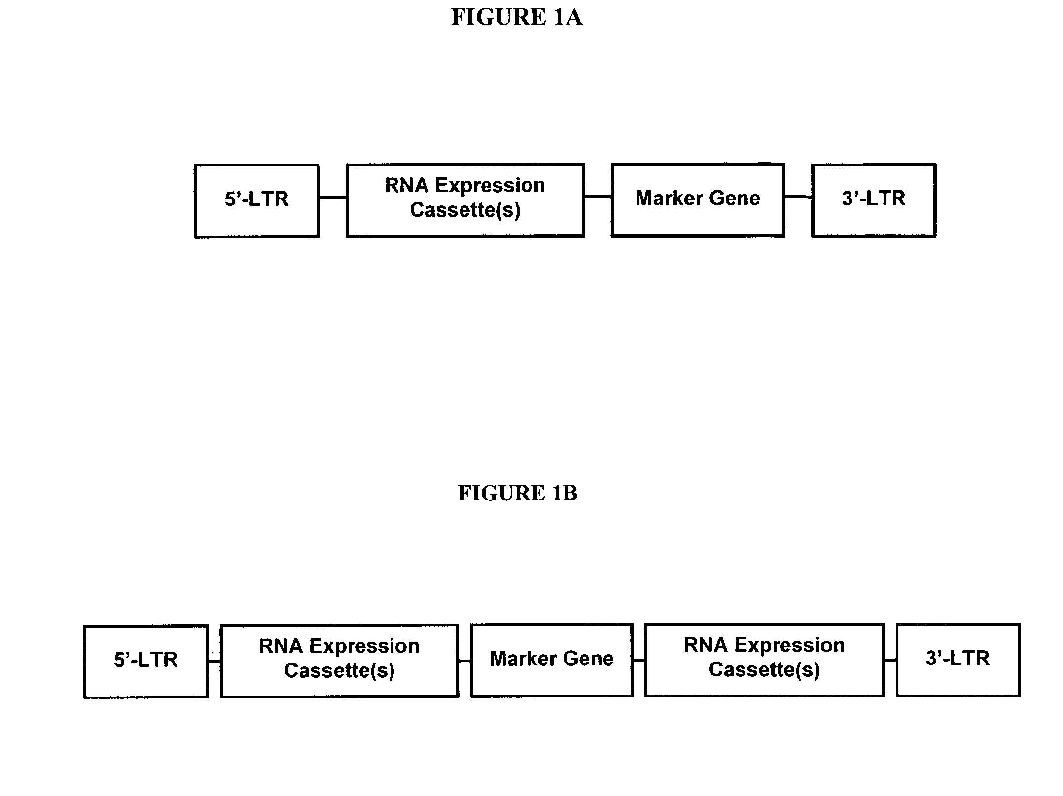 Method for expression of small antiviral RNA molecules within a cell