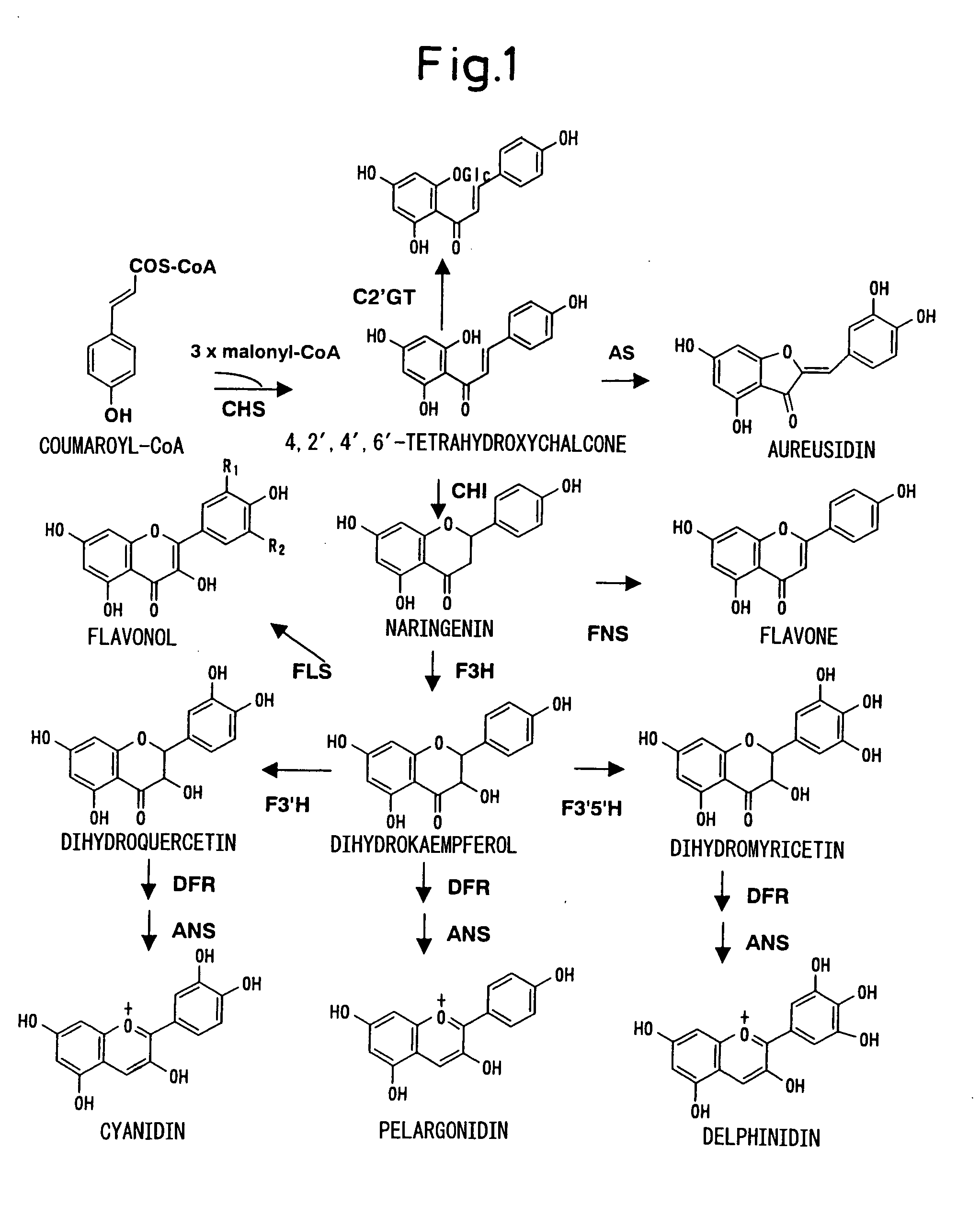 Method for producing rose with altered petal colors