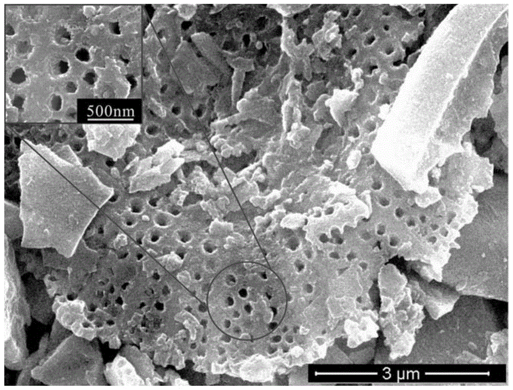 A kind of mordenite with diatomite morphology and its preparation method