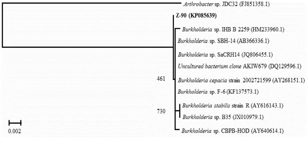 Burkholderia and application method thereof