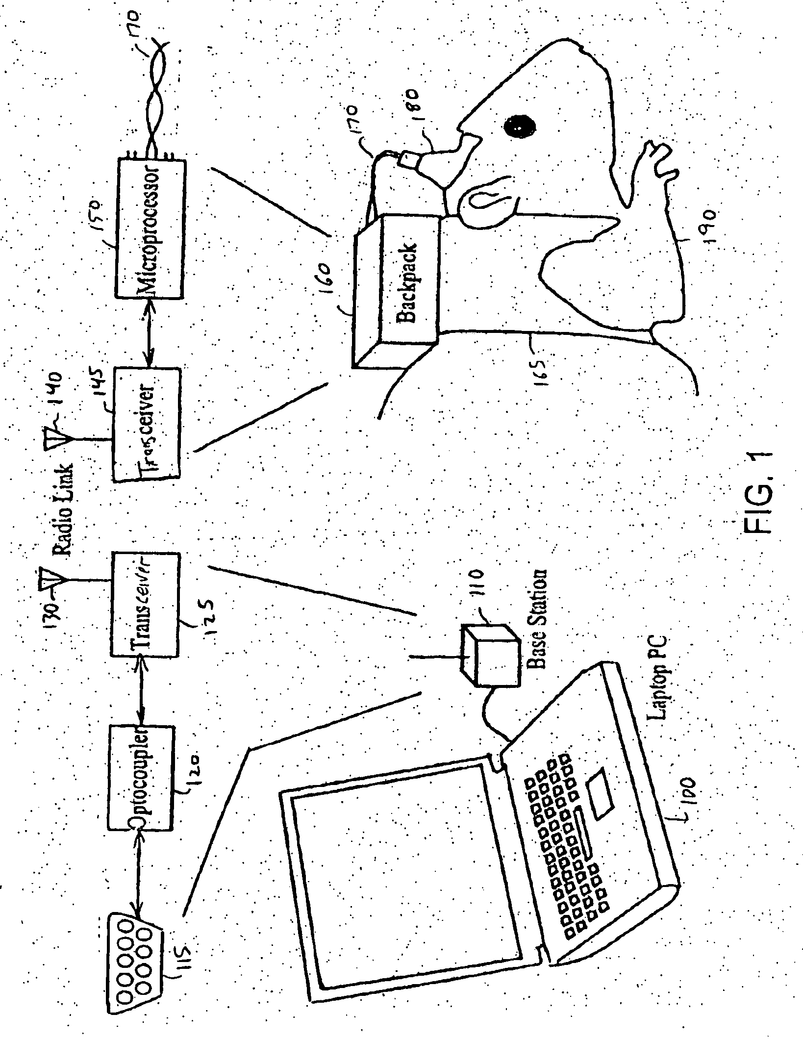 Method and apparatus for teleoperation, guidance and odor detection training of a freely roaming animal through brain stimulation