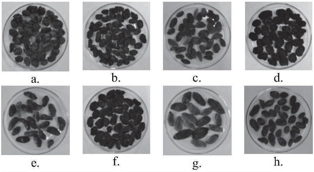 Hyperspectral Image Compression Method and Application