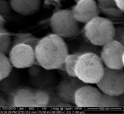 Method for preparing magnetic fluorescent graphene composite nano ion probes