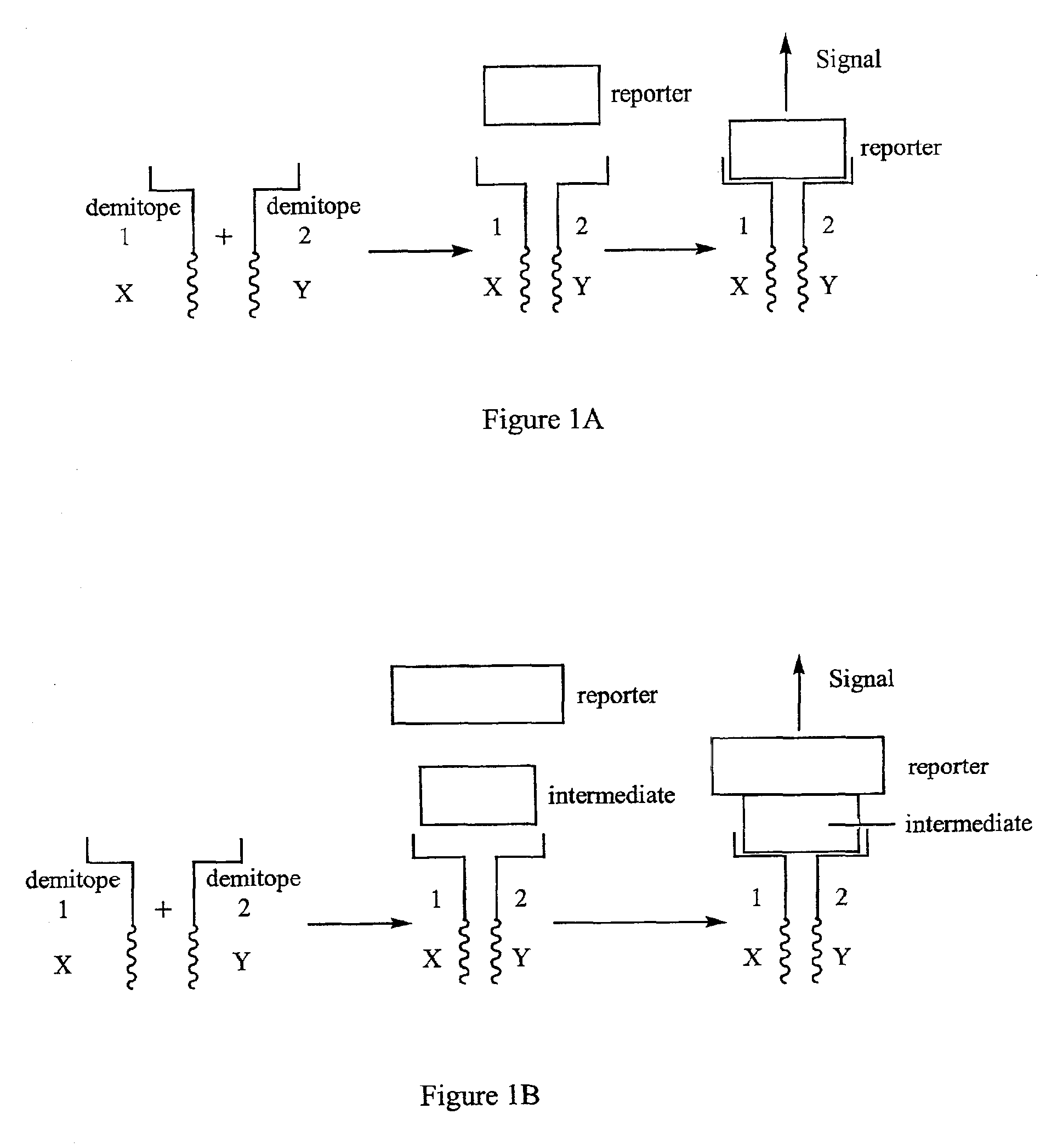 Real time detection of intermolecular interaction