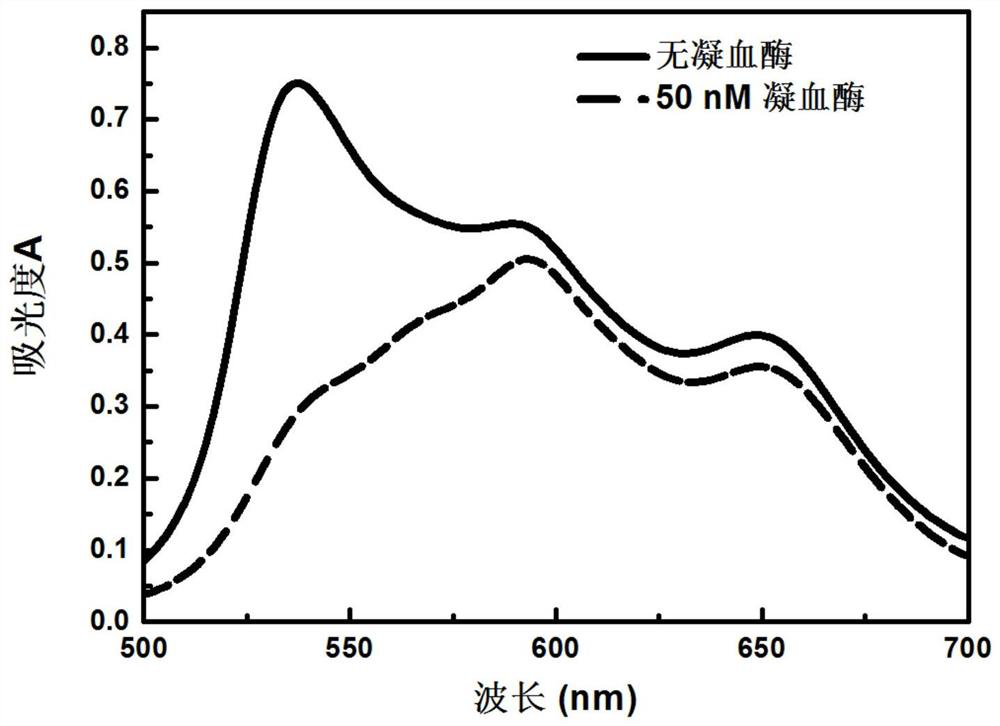 A kind of thrombin detection method and kit thereof