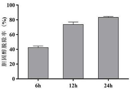 A strain of Lactobacillus fermentum kp101 and its application