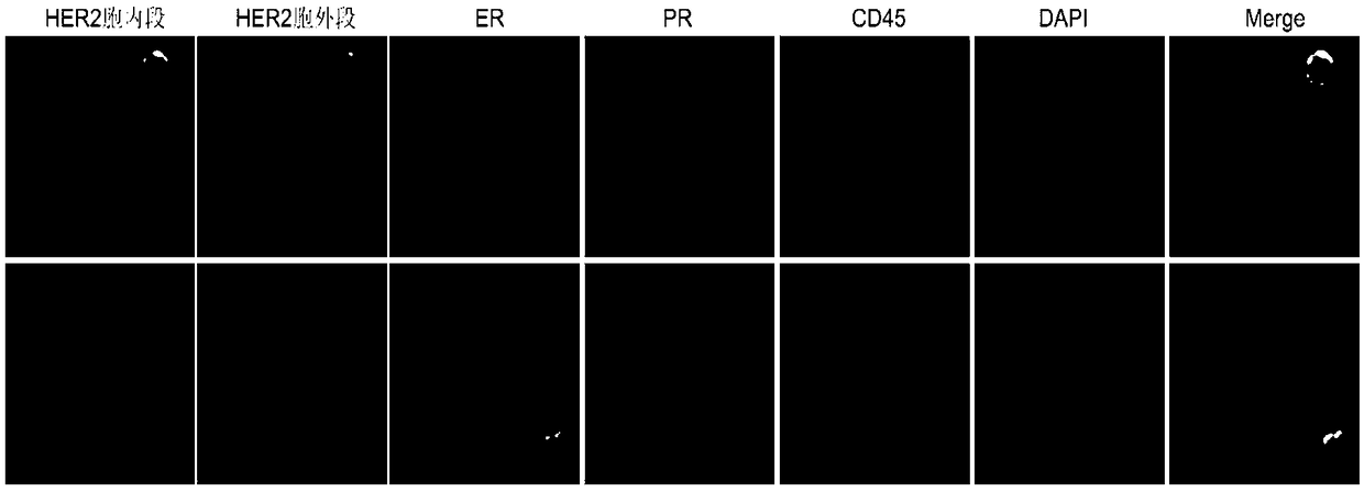 Kit for detecting HER2 different sites, ER, and PR of circulating tumor cells and application thereof