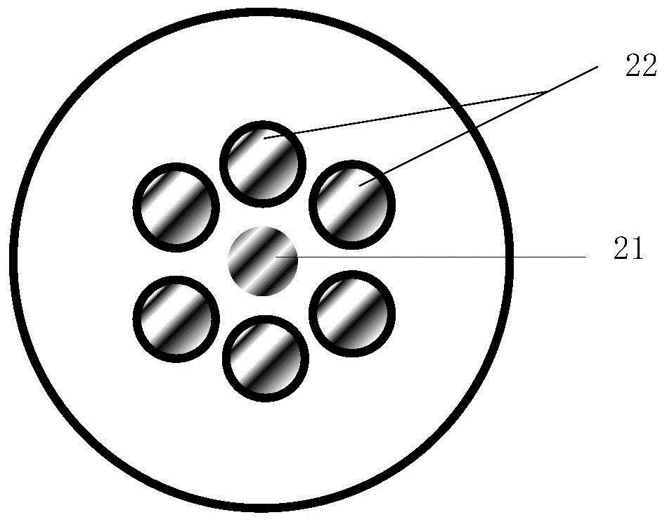 Human microcirculation blood perfusion detecting instrument and method