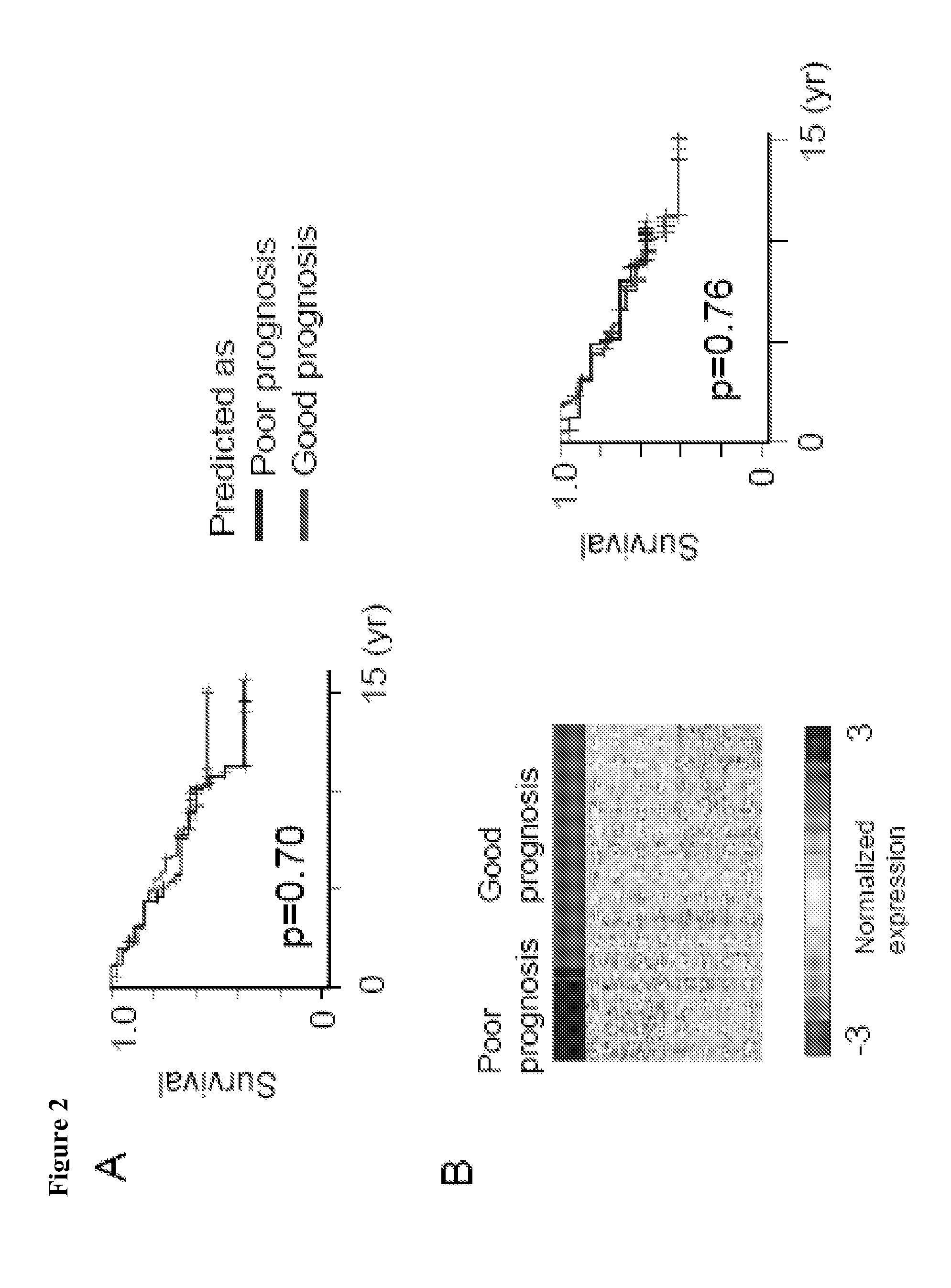 Compositions, kits, and methods for identification, assessment, prevention, and therapy of hepatic disorders