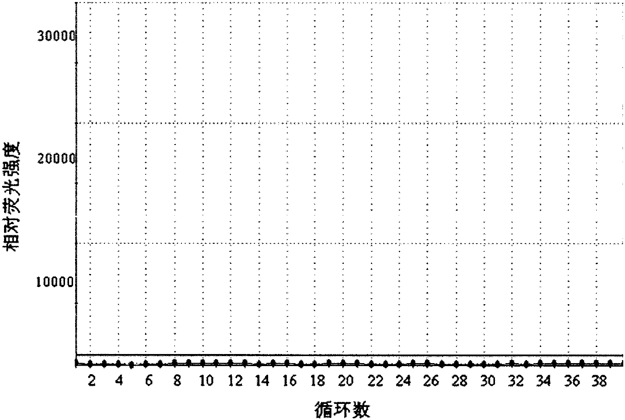 Primer, probe and kit for detecting mutation of 1675 to 1681 sites of C-KIT gene