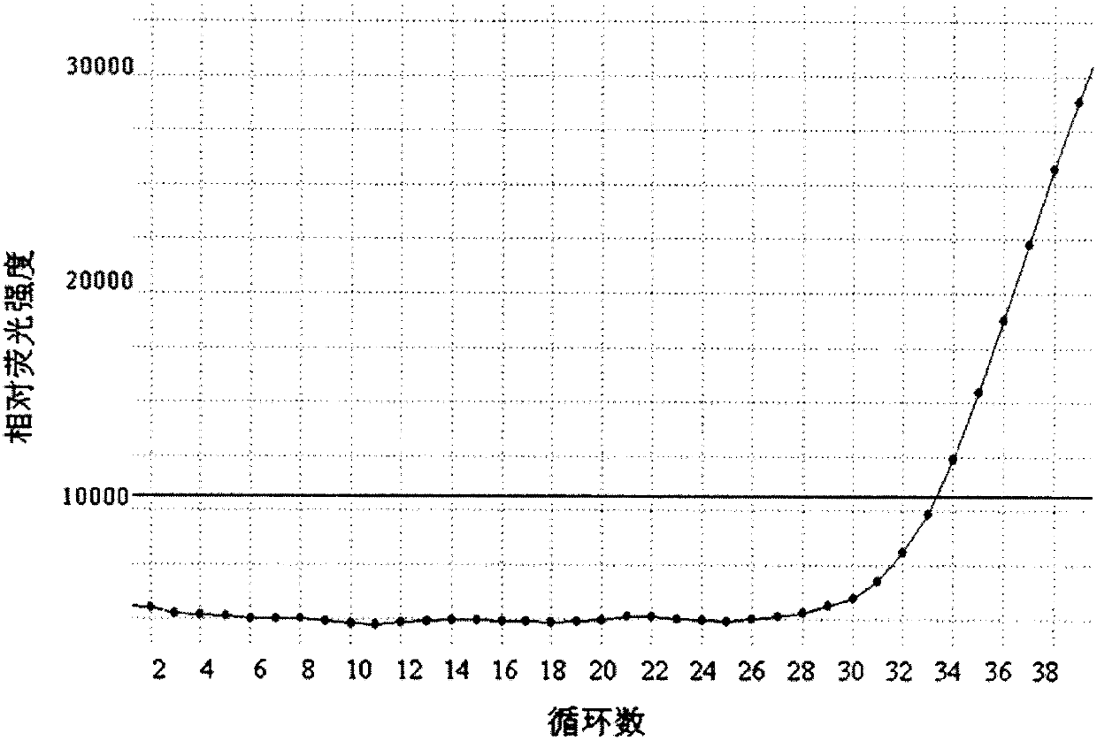 Primer, probe and kit for detecting mutation of 1675 to 1681 sites of C-KIT gene