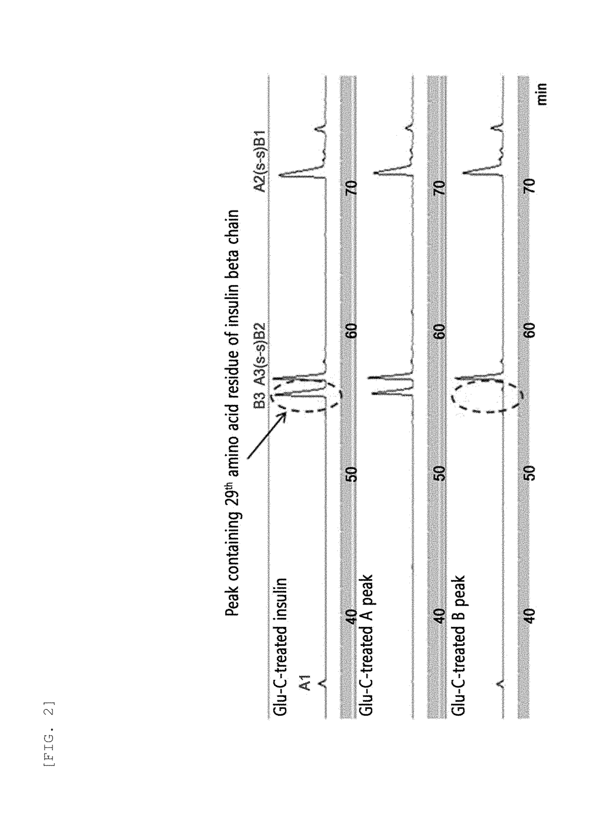 Site-specific insulin conjugate