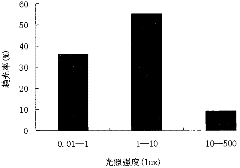 Aquatic Animal Feed Attraction Device and Its Application in Golden Squid Breeding