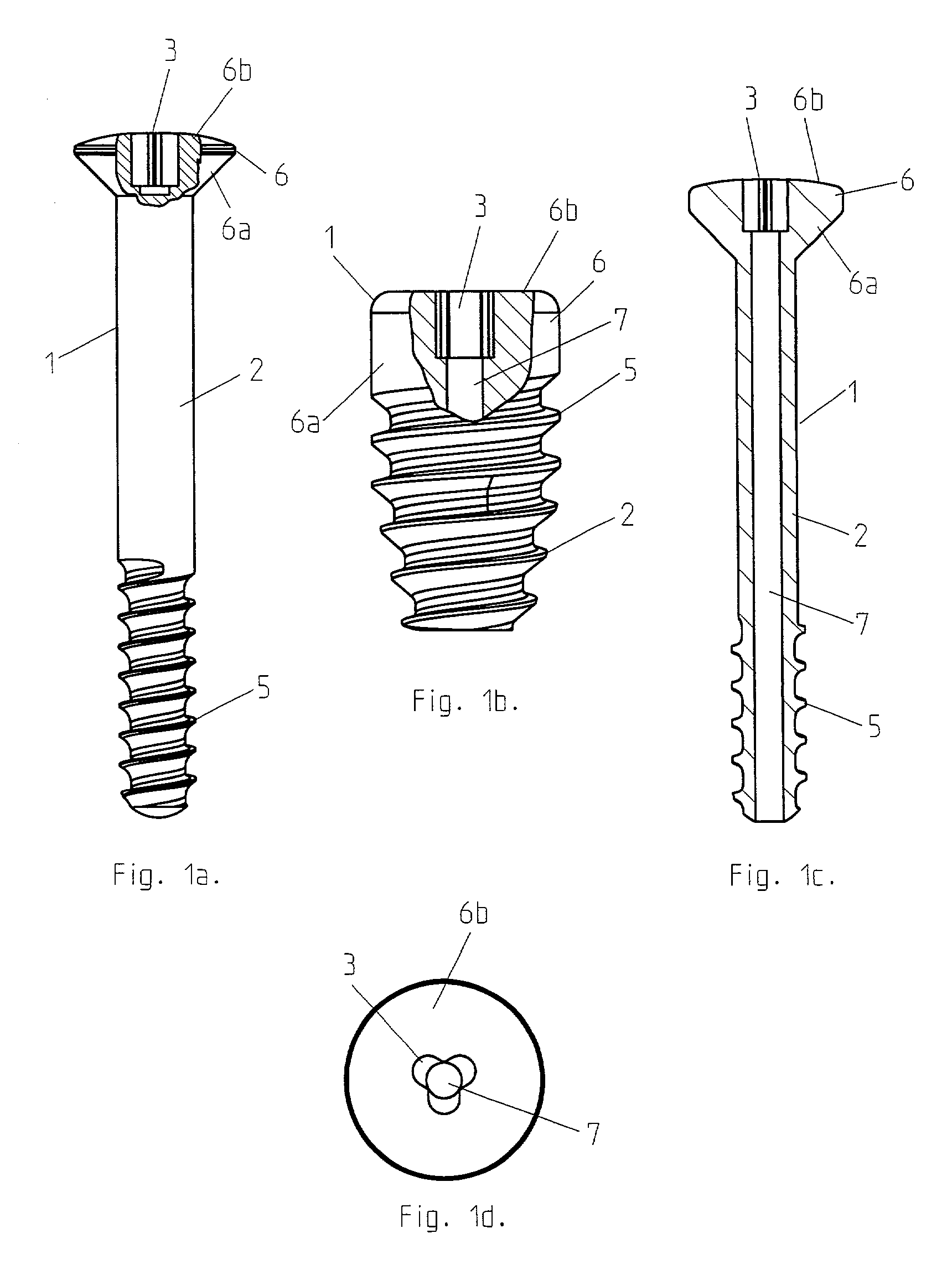 Surgical screw and tool for its insertion