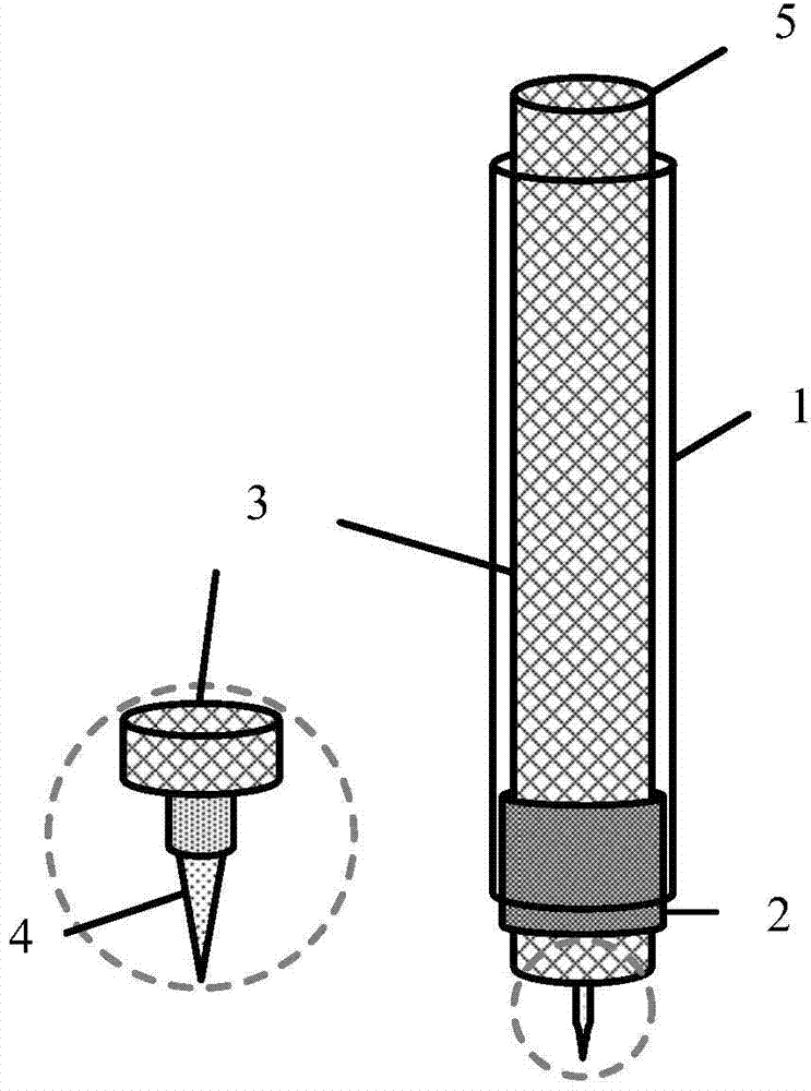 Optical fiber microsensor and detection system for in-situ detecting biological film density distribution