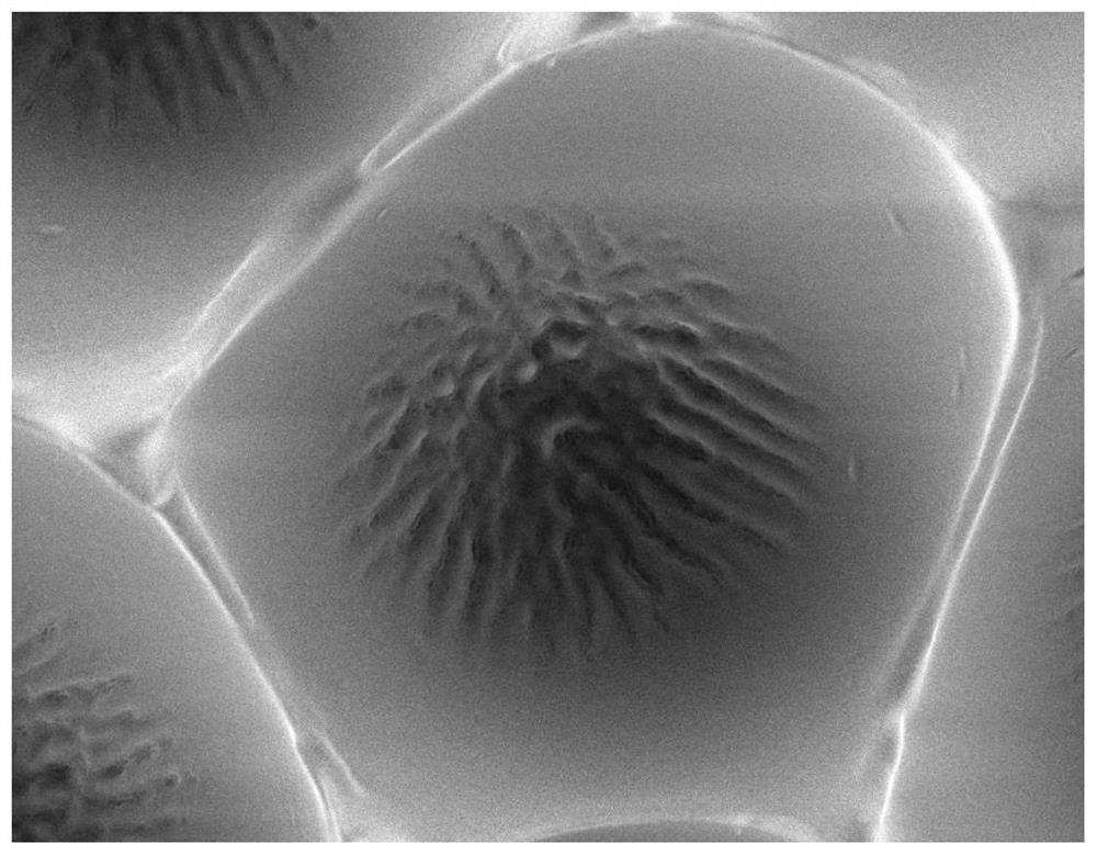 Bionic three-dimensional hierarchical micro-nano structure integrated micro device and preparation and application thereof