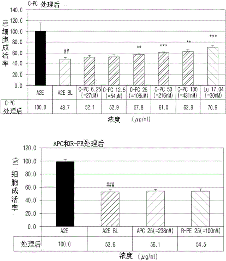 Pharmaceutical composition containing spirulina maxima extract as active ingredient for preventing and treating retinal diseases