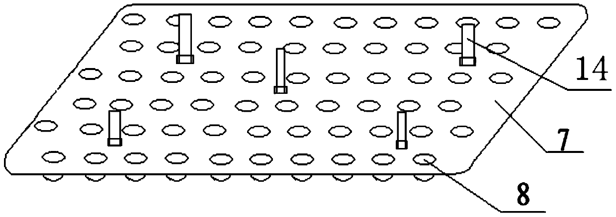 A rice seedling-planting tray and its seedling raising method and application