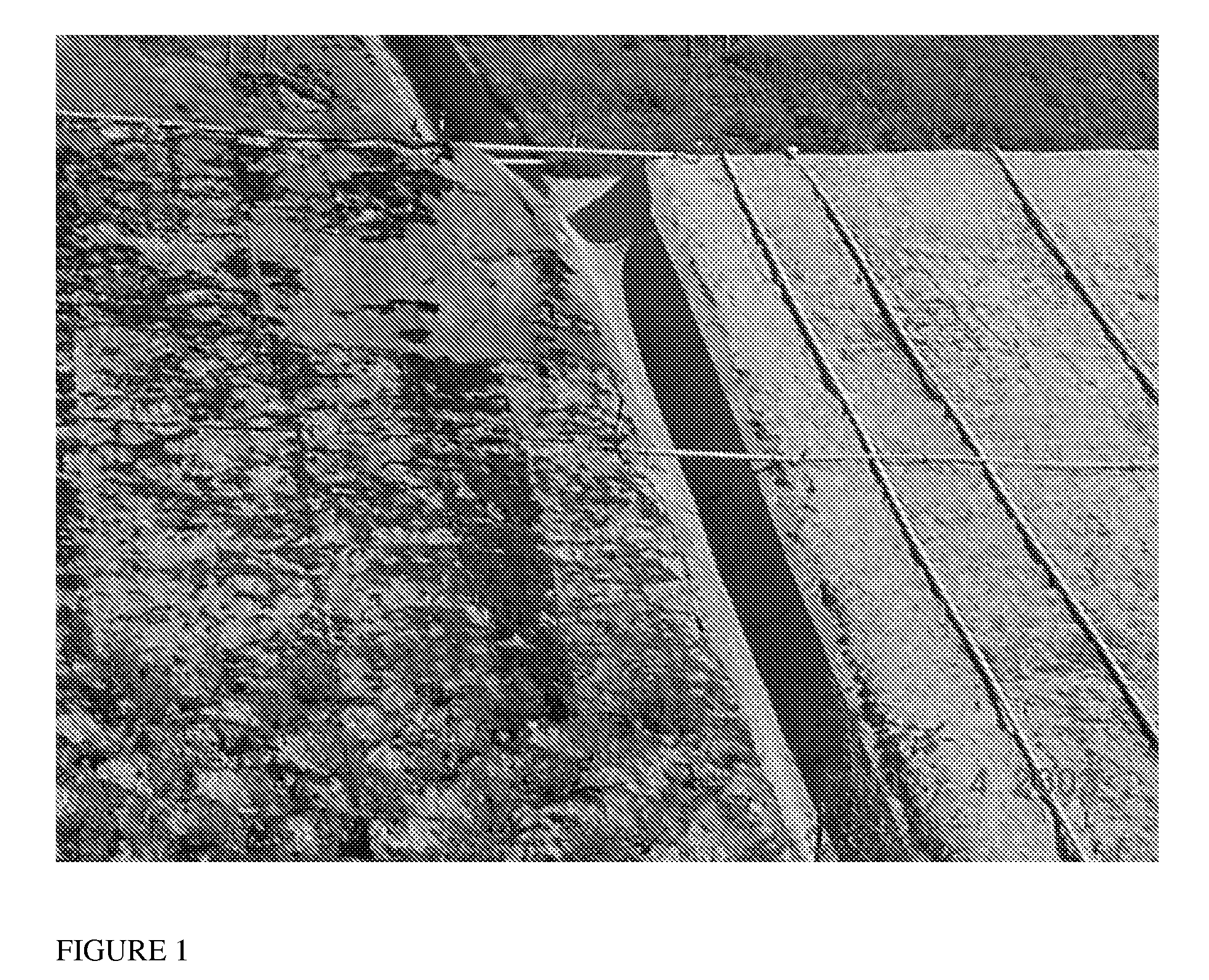 Compositions and methods for resisting soil erosion & fire retardation