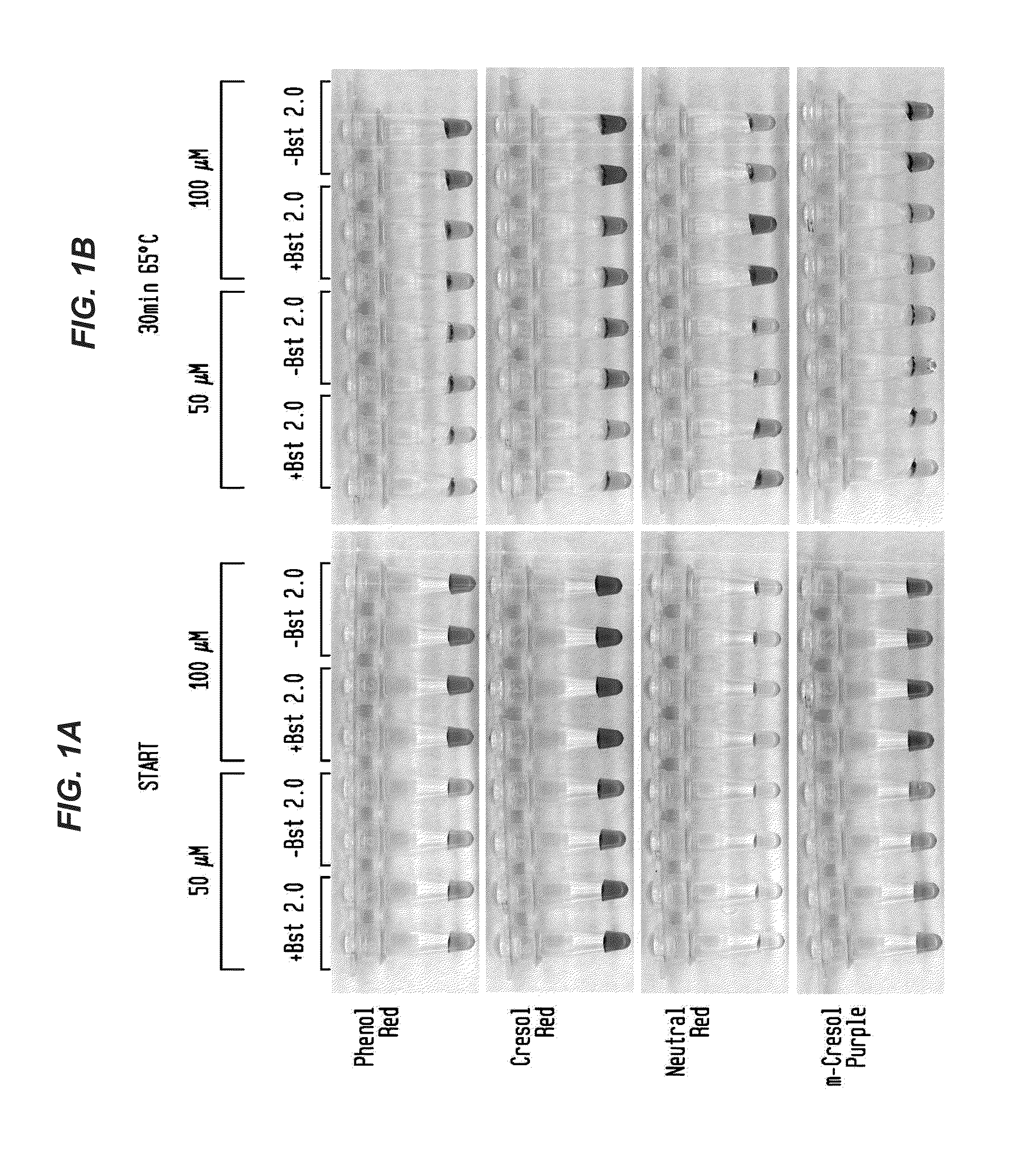 Detection of an Amplification Reaction Product Using pH-sensitive Dyes