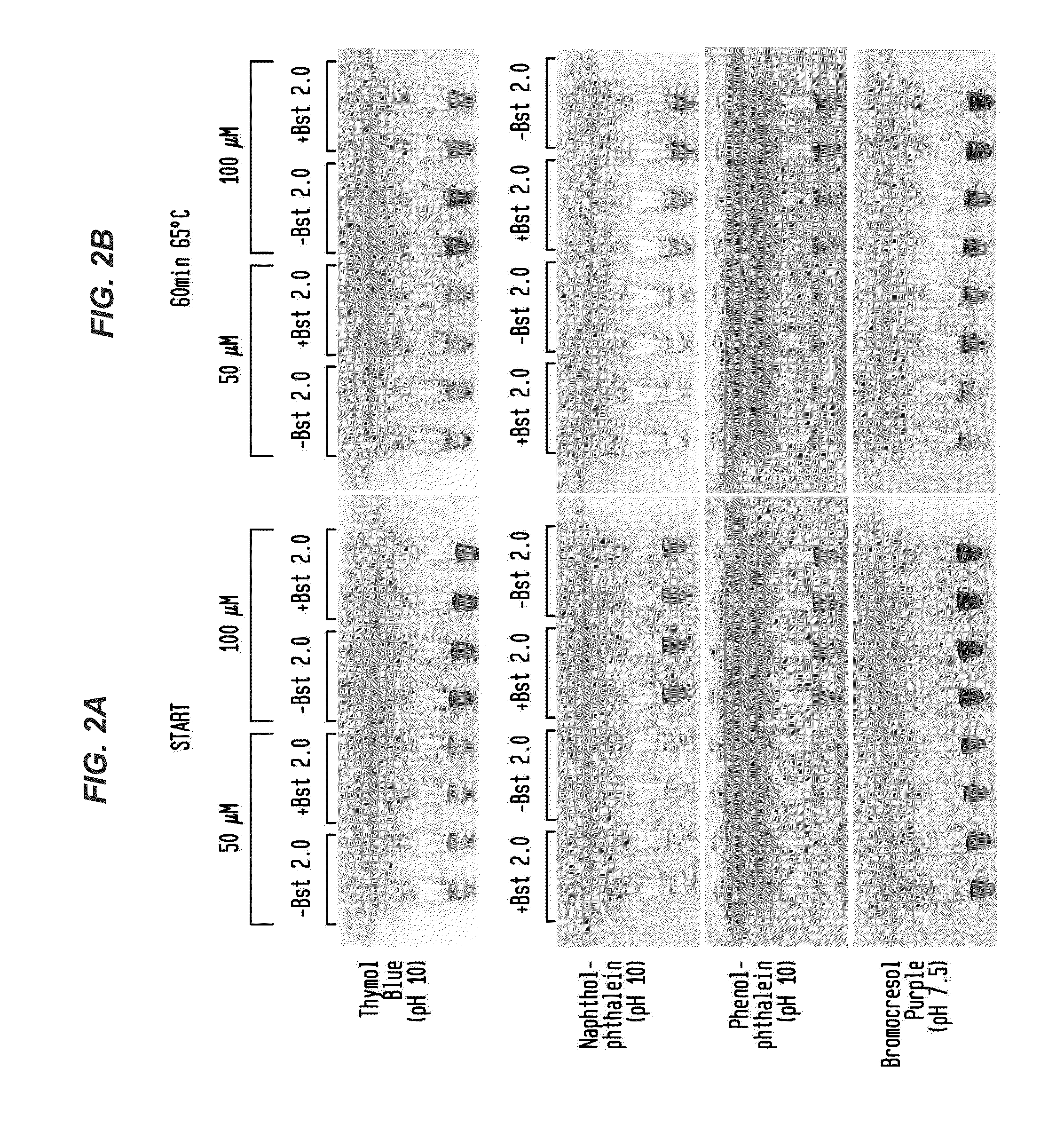 Detection of an Amplification Reaction Product Using pH-sensitive Dyes