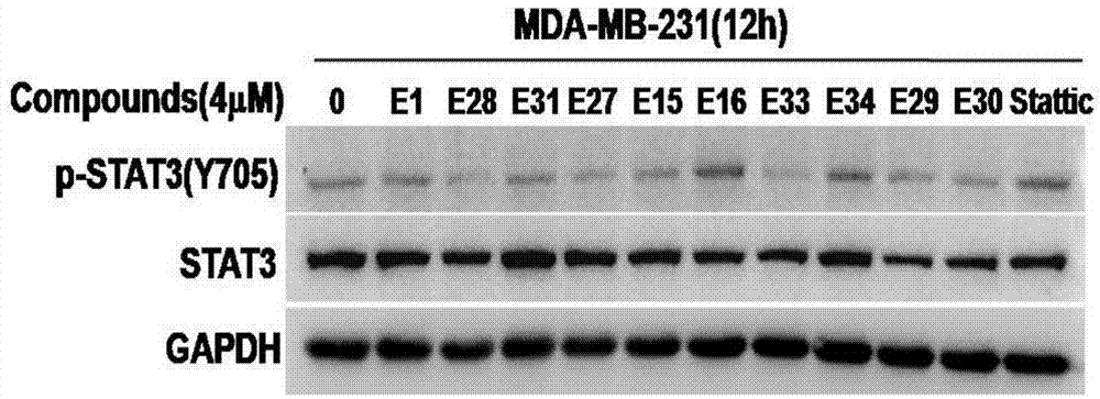 Targeting STAT3 inhibitor and application thereof
