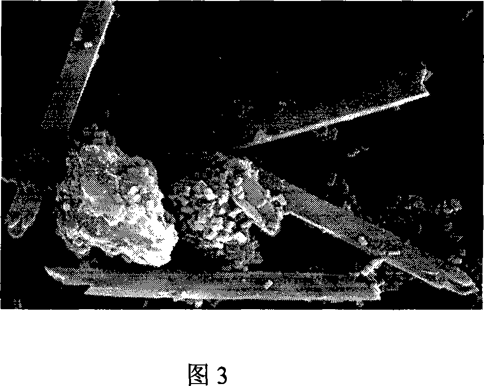 Method for synthesizing zinc oxide particle