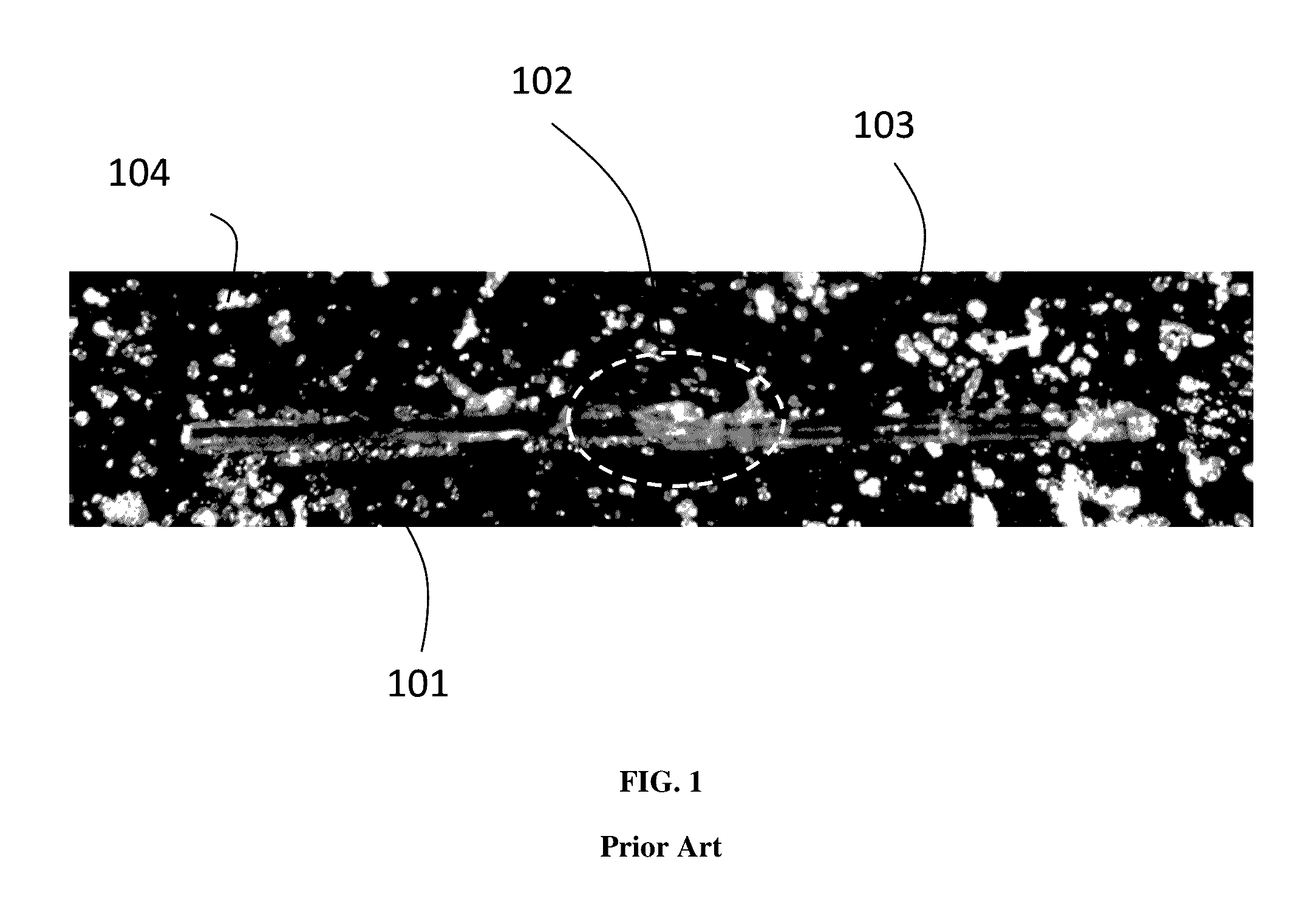 Method and apparatus for producing crystalline cladding and crystalline core optical fibers