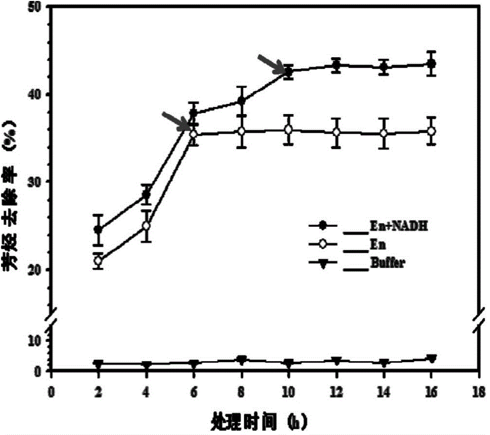 Aromatic hydrocarbon degrading enzyme preparation and preparation method as well as application thereof