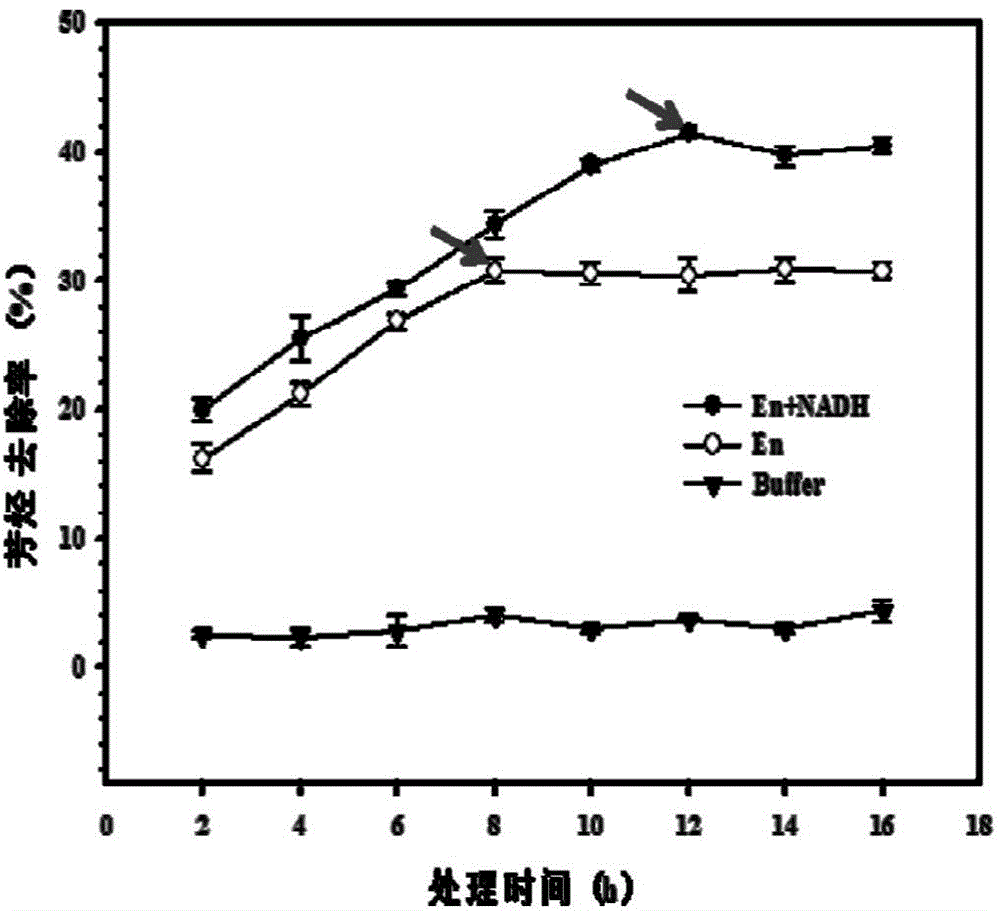 Aromatic hydrocarbon degrading enzyme preparation and preparation method as well as application thereof