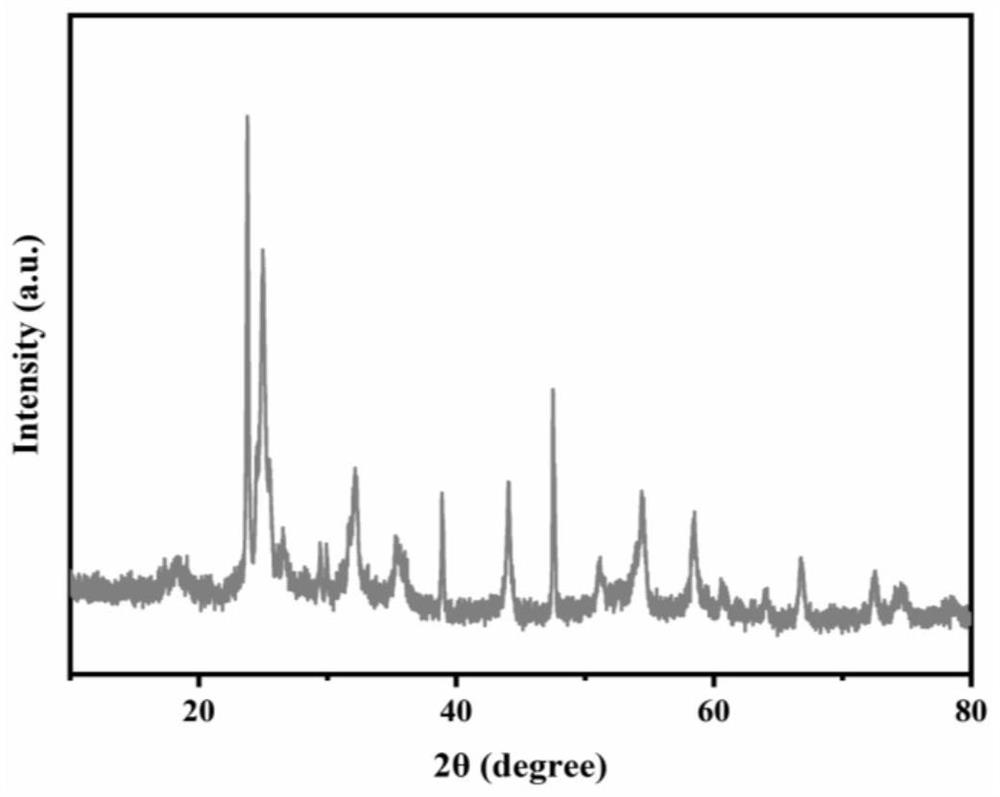 Lithium ion battery indium niobium oxide negative electrode material and preparation method thereof