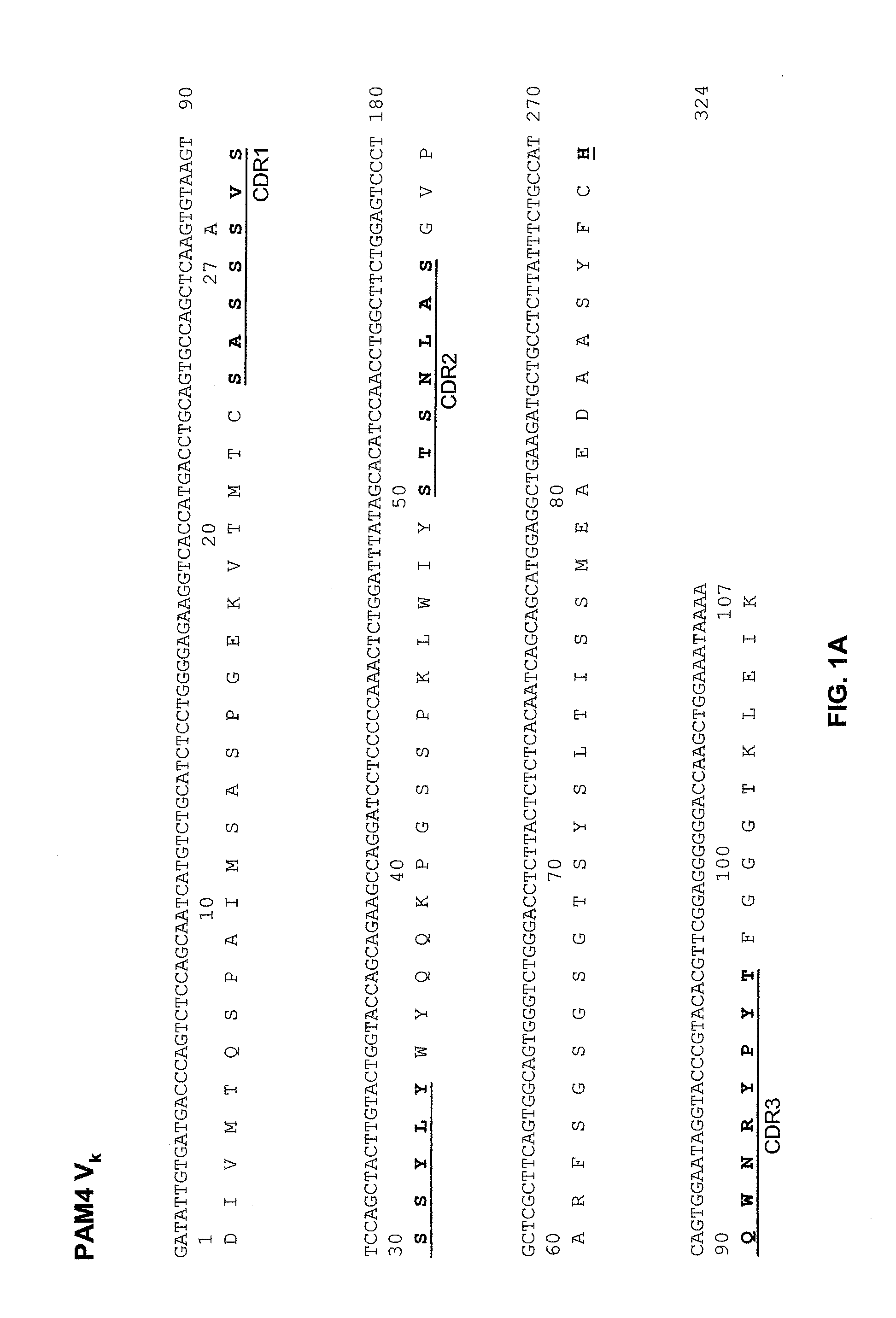 Anti-Pancreatic Cancer Antibodies