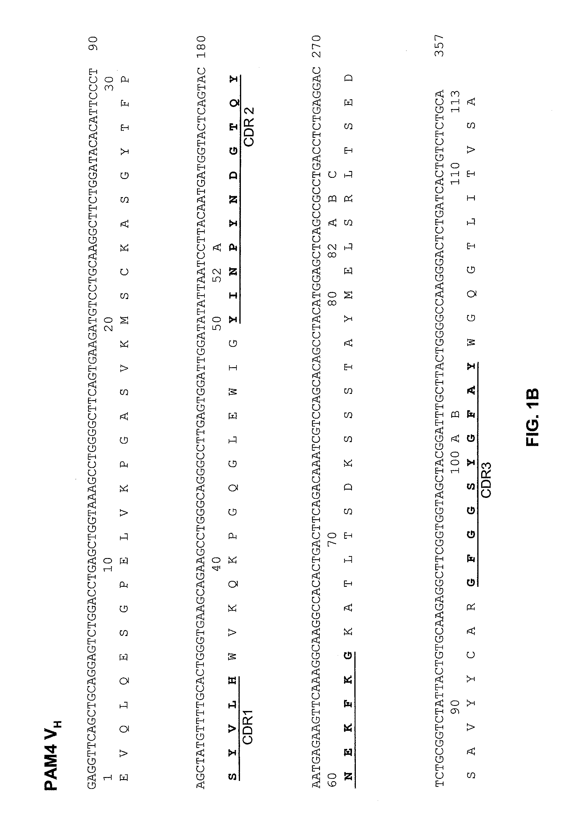 Anti-Pancreatic Cancer Antibodies