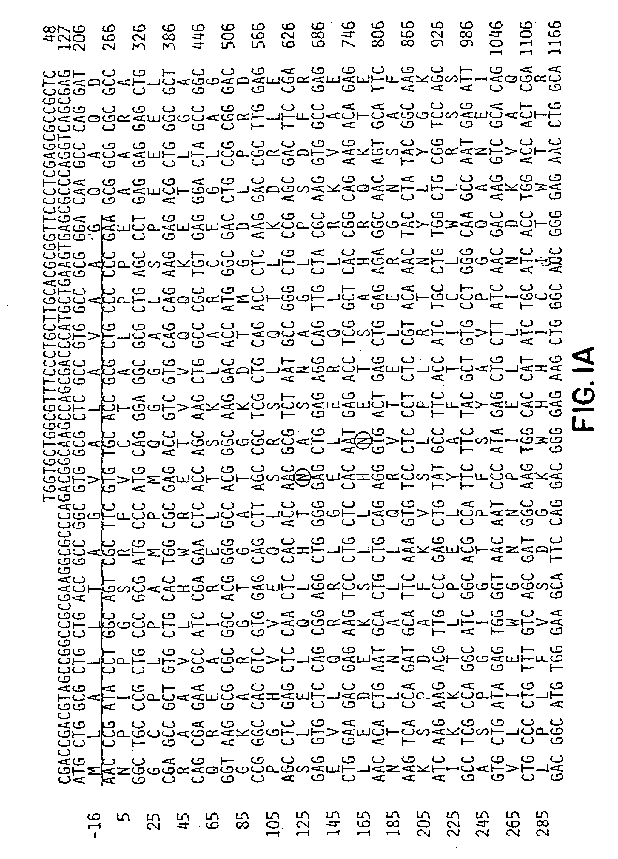 Method for identifying compounds which affect ionotropic glutamate receptor aggregation